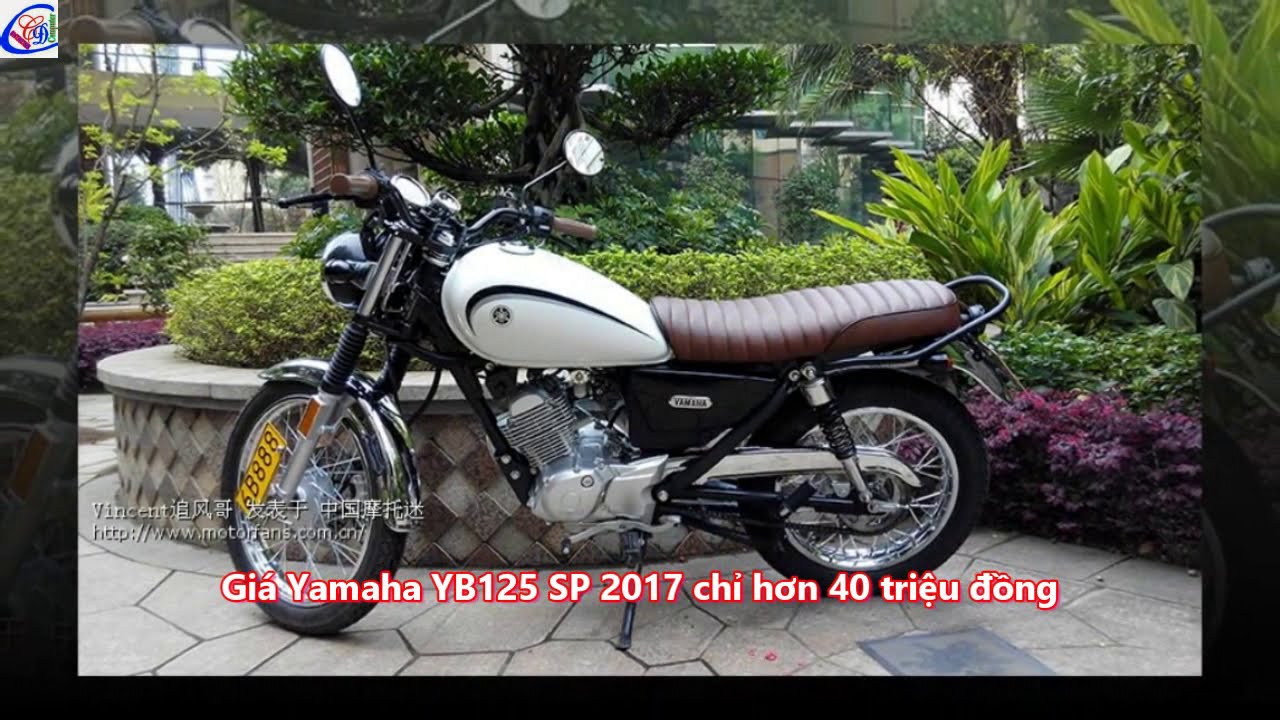 Yamaha YB 125 SP mới  xe côn tay Trung Quốc xuất Nhật  VnExpress